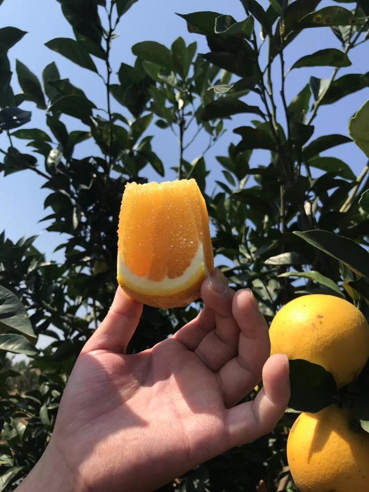 亦凡水果生鲜