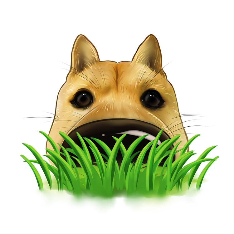 中华田园犬文化馆