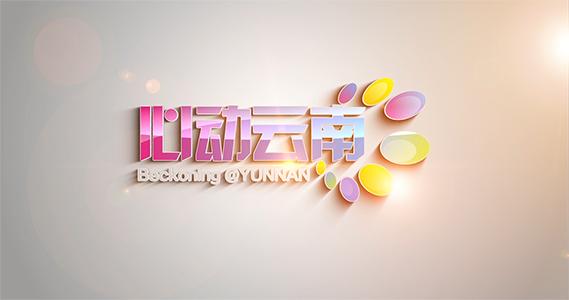 心动云南老陈的店
