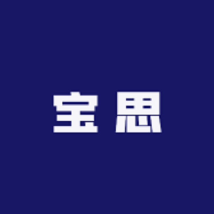宝思男装3