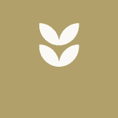 罗运福甄选好货店