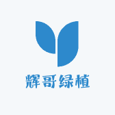 辉哥绿植