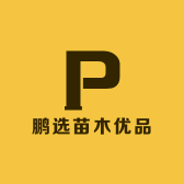鹏选苗木优品