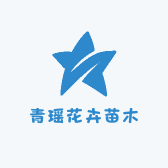 青瑶花卉苗木