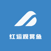 红运观赏鱼