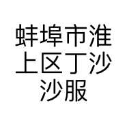 蚌埠市淮上区丁沙沙服装商店的小店