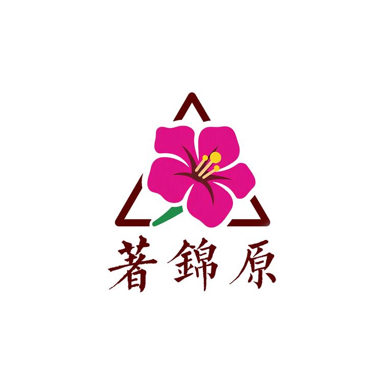 著锦原三角梅2店