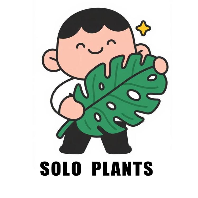 SOLOPlants