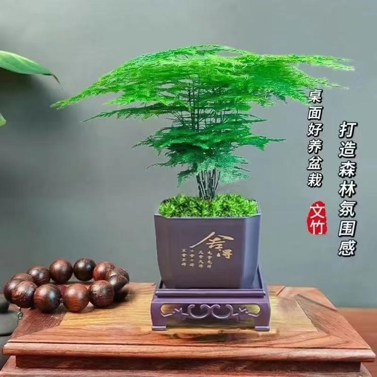 明华果树苗木专营店