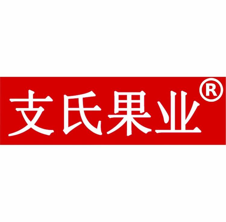 支氏果业369店