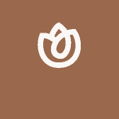 乡味东北小鸡炖蘑菇