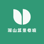 深山盆景老桩