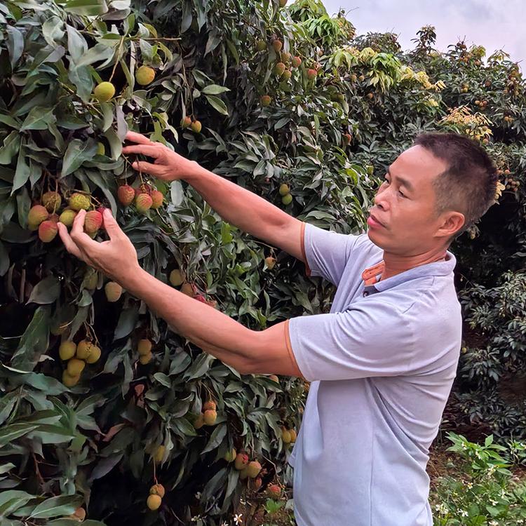 甜蜜力量