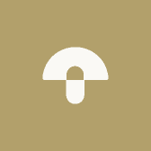 蚕丝被宇升甄选