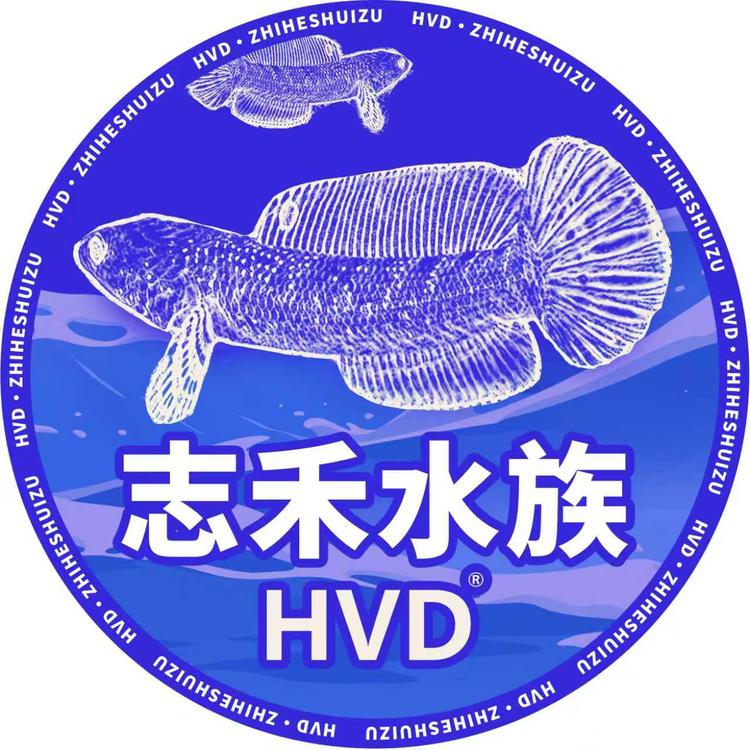志禾水宠