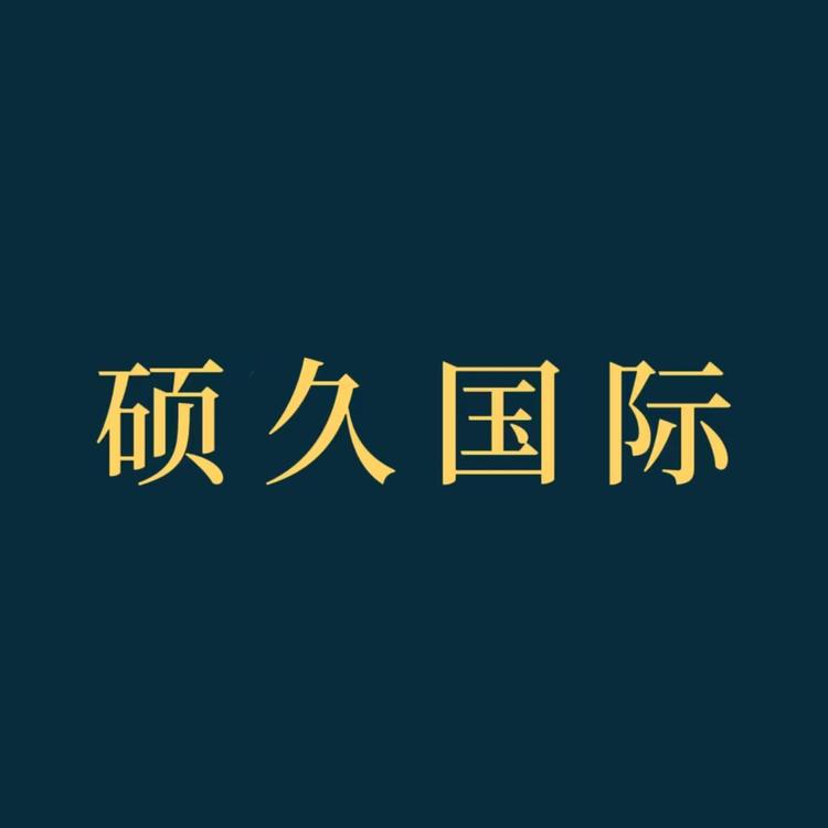 硕久国际