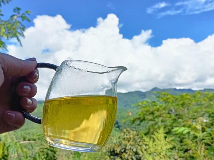 临沧普洱茶叶