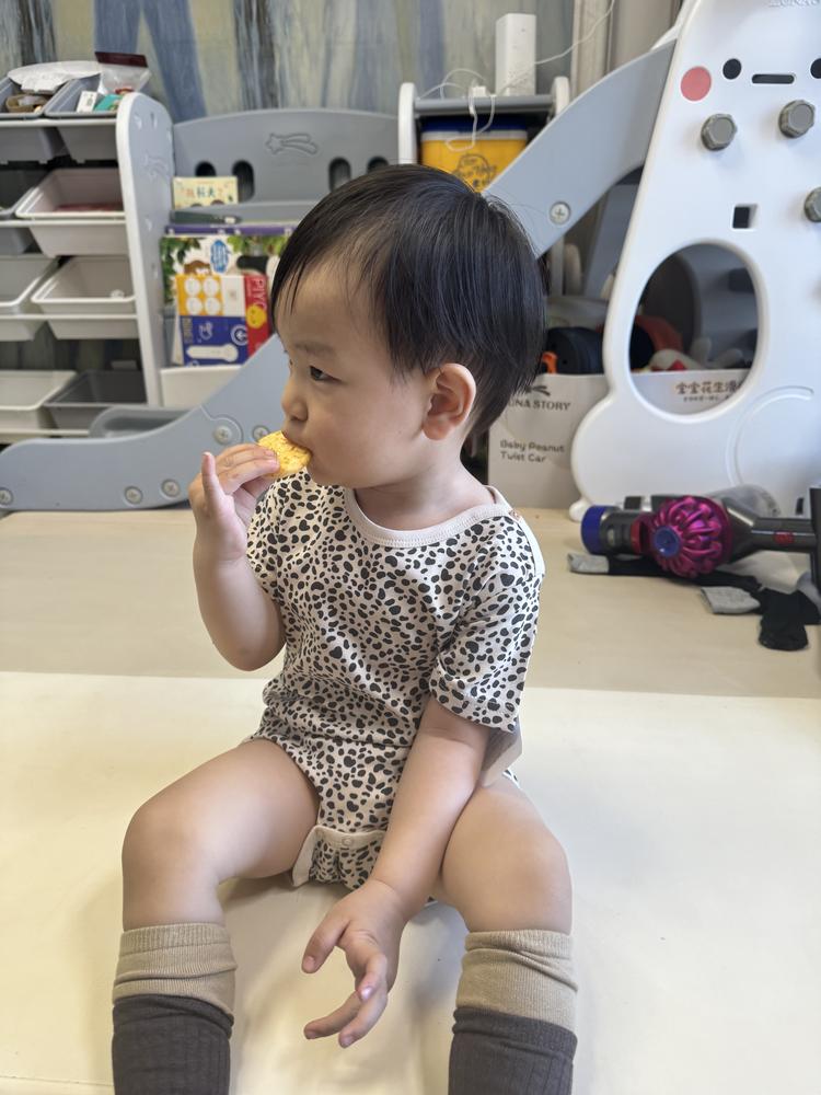 小瑞瑞衣橱