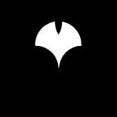 朝阳市特产甄选