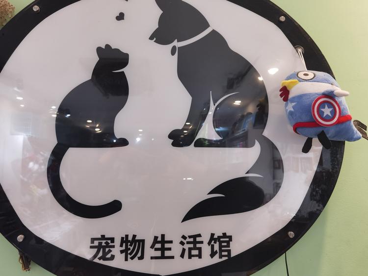 邓州市小奶汪宠物店的小店