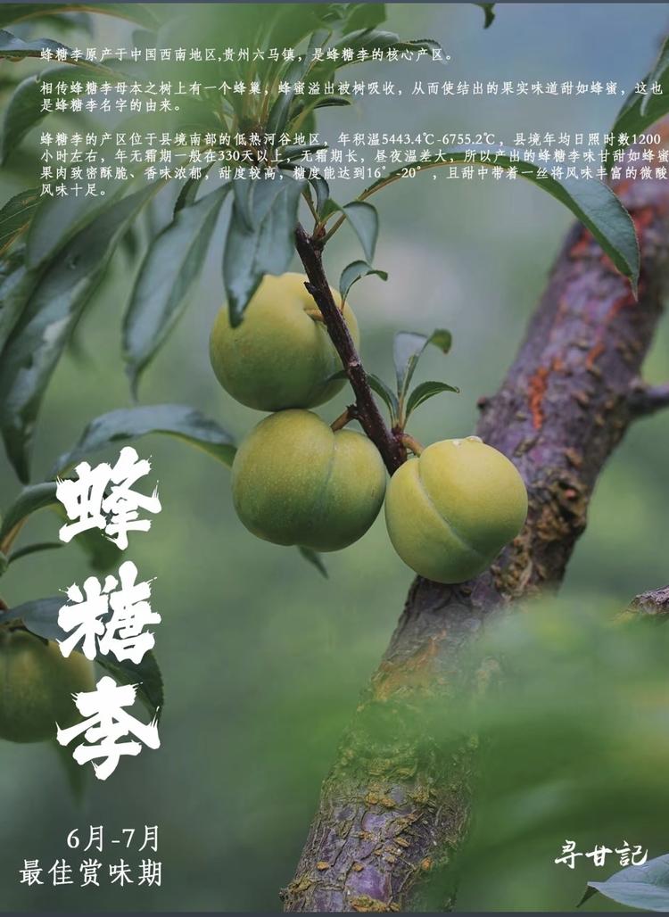 果甄小货郎优选