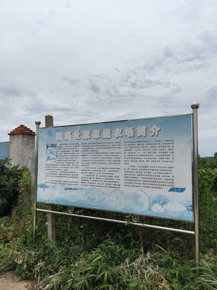 陇西世家家庭农场