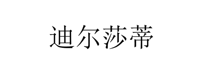 Diersuodi服饰授权企业店