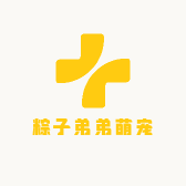 粽子弟弟萌宠