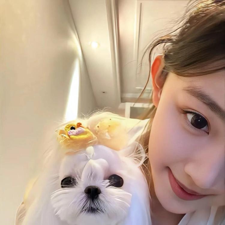 小橘子不吃橘子
