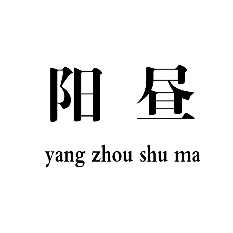 阳昼数码