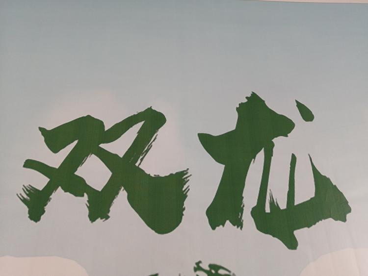 广宗县双龙自行车业有限公司的小店