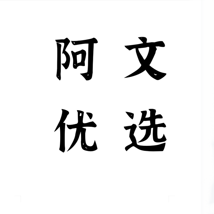 阿文优选个体店