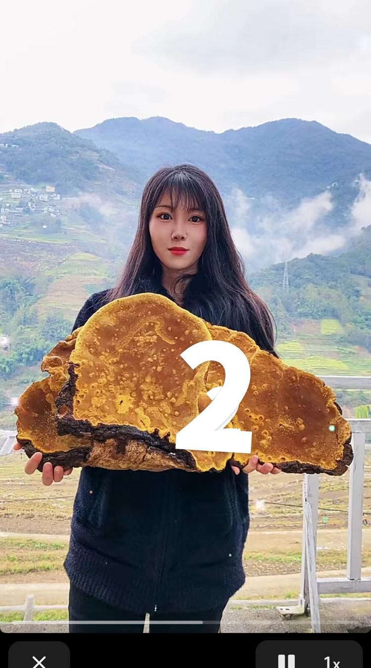 藏滇堂山货滋补行