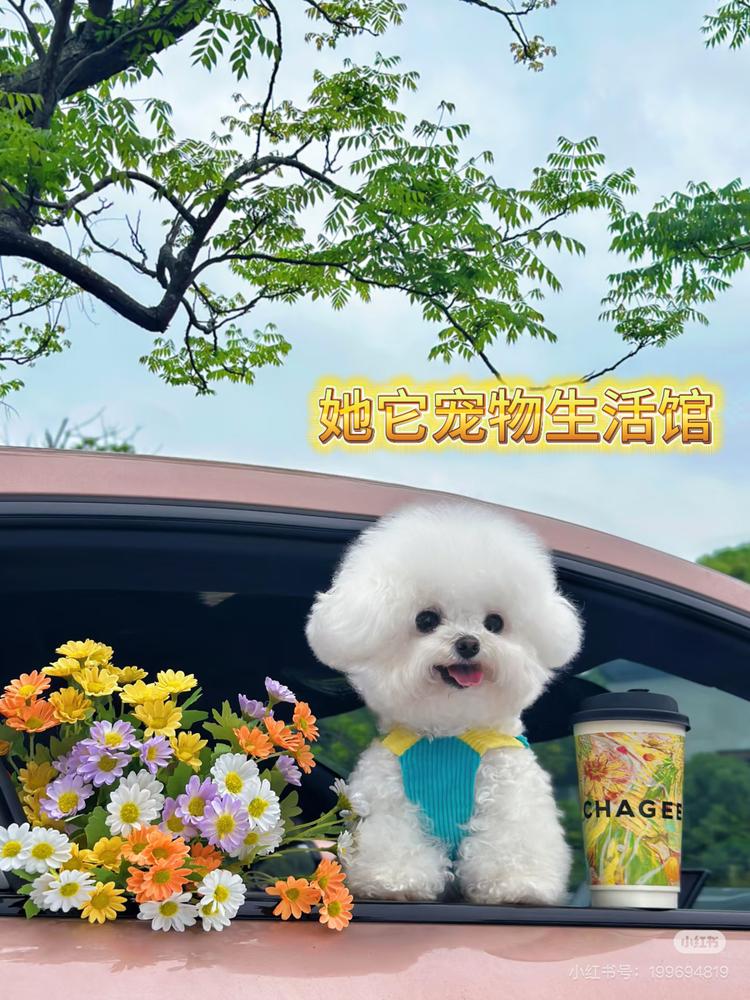 她它萌宠宠物生活馆