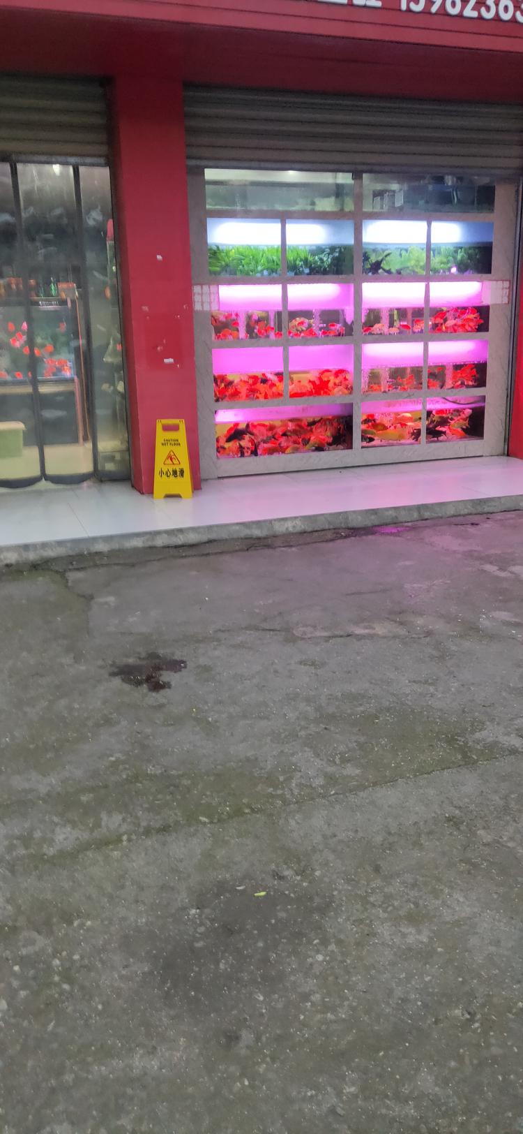 洪利水族