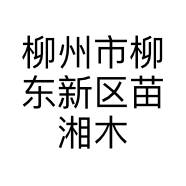 柳州市柳东新区苗湘木材加工厂的小店