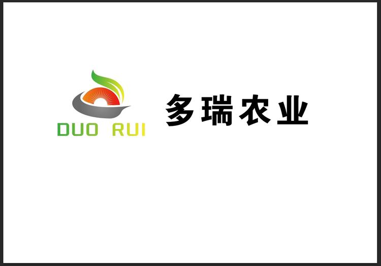 超哥说柿