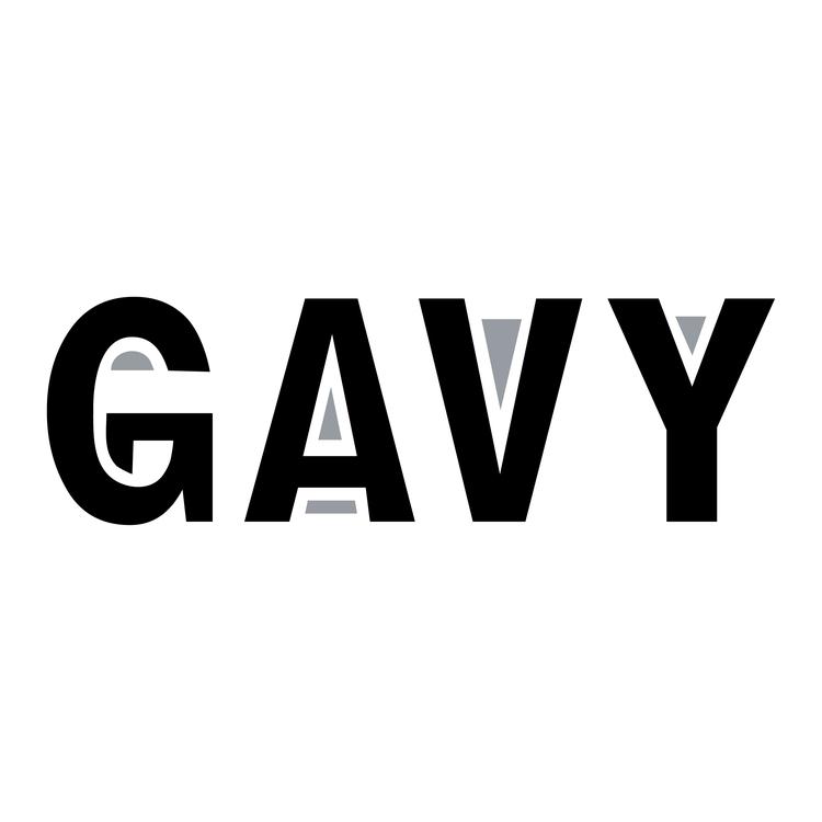 GAVY数码