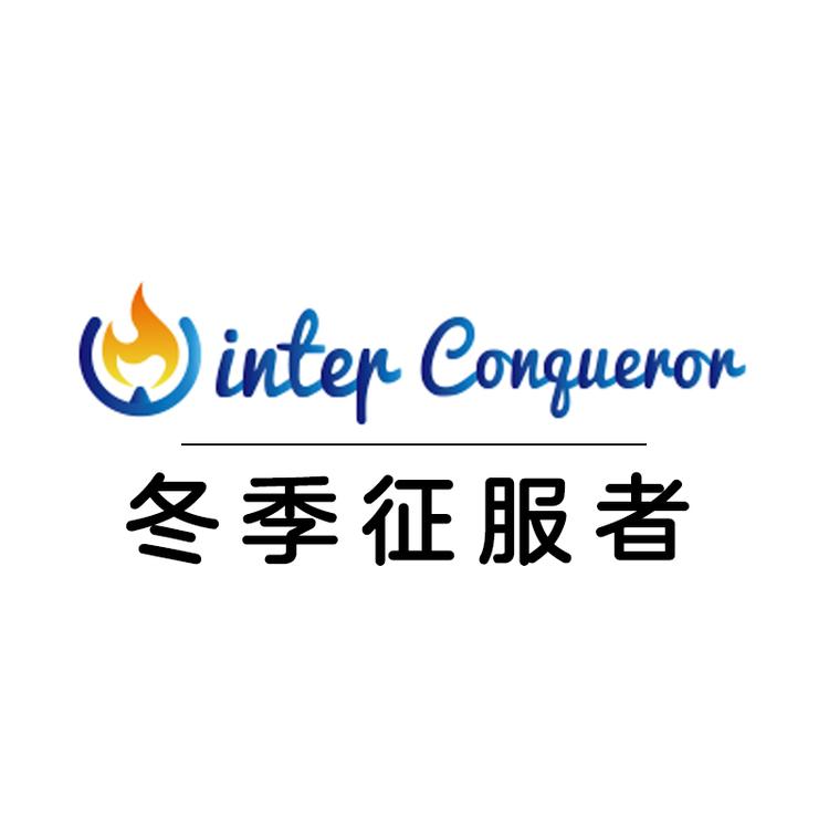 冬季征服者真火壁炉