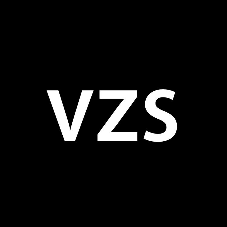 VZS蒙傲男鞋专卖店
