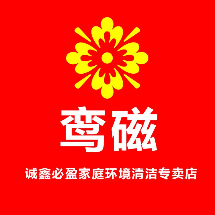鸾磁诚鑫必盈家庭环境清洁专卖店