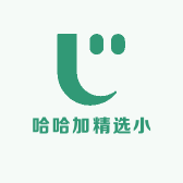 哈哈加精选小铺