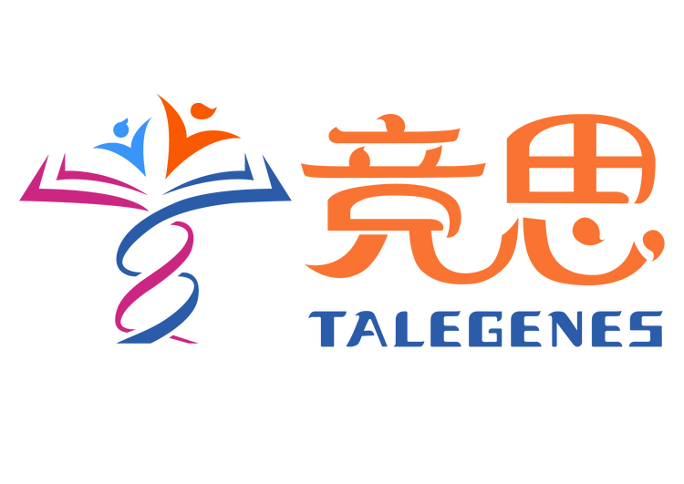 竞思专注力