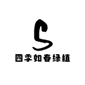 四季如春绿植
