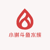 小谢斗鱼水族