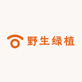 野生绿植