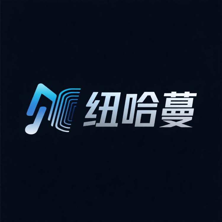 纽哈蔓数码音频
