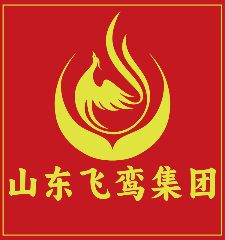 山东飞鸾集团