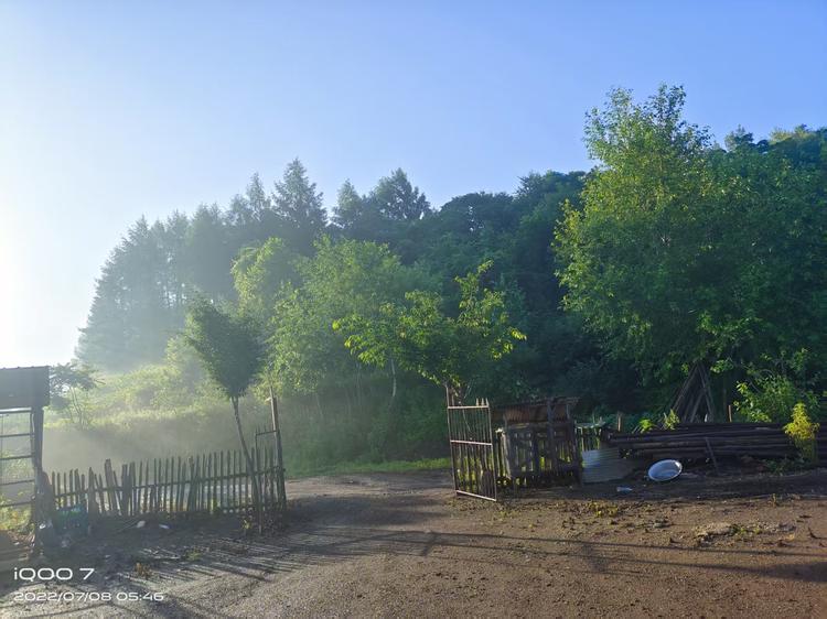 长白山满油满籽雪蛤