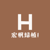 宏帆绿植i